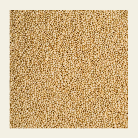 Rajgira (Amaranth) - Wholegrain